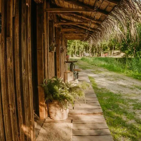 Luxury tent Freedolina Glamping *