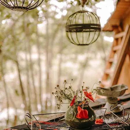 Freedolina Glamping